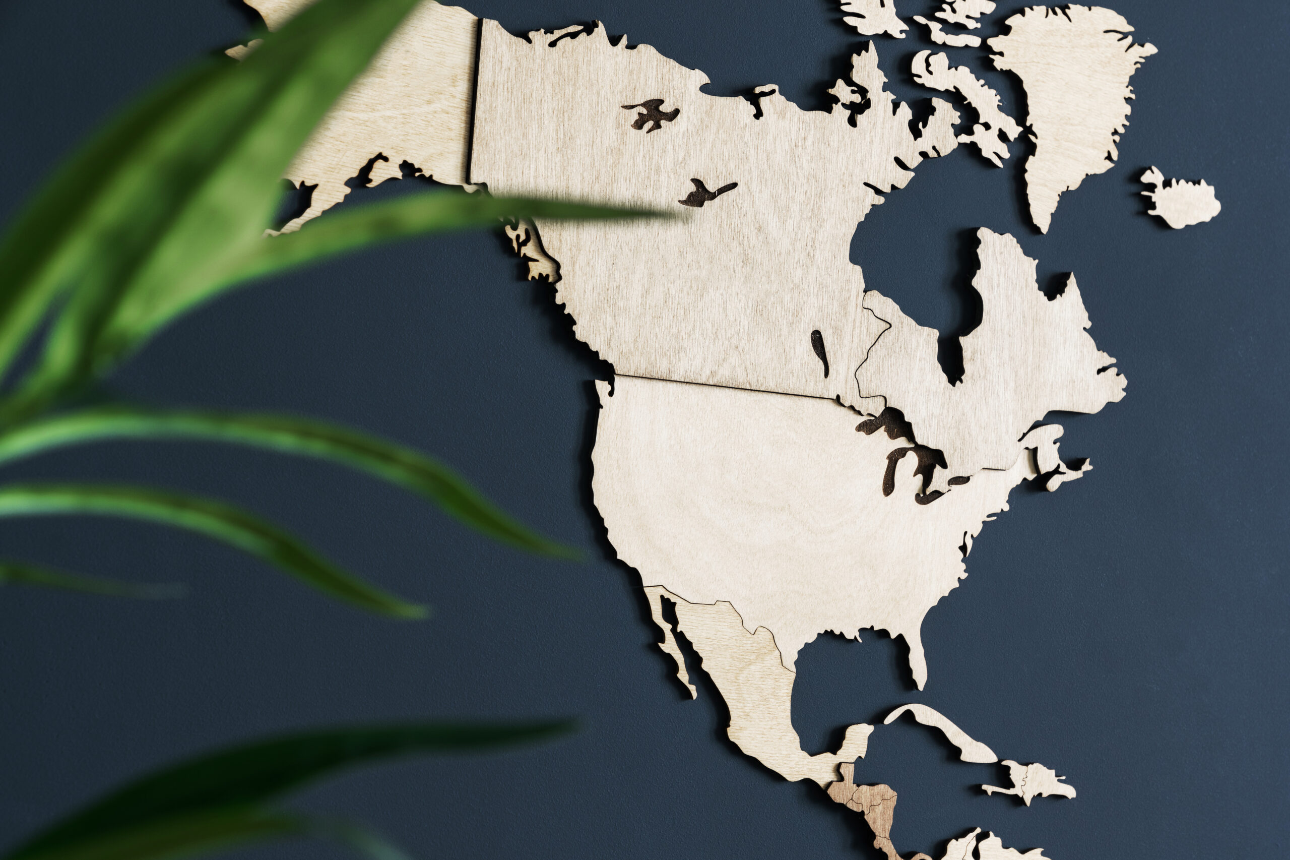 the organization of american states