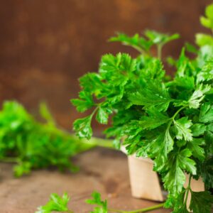 benefits from parsley