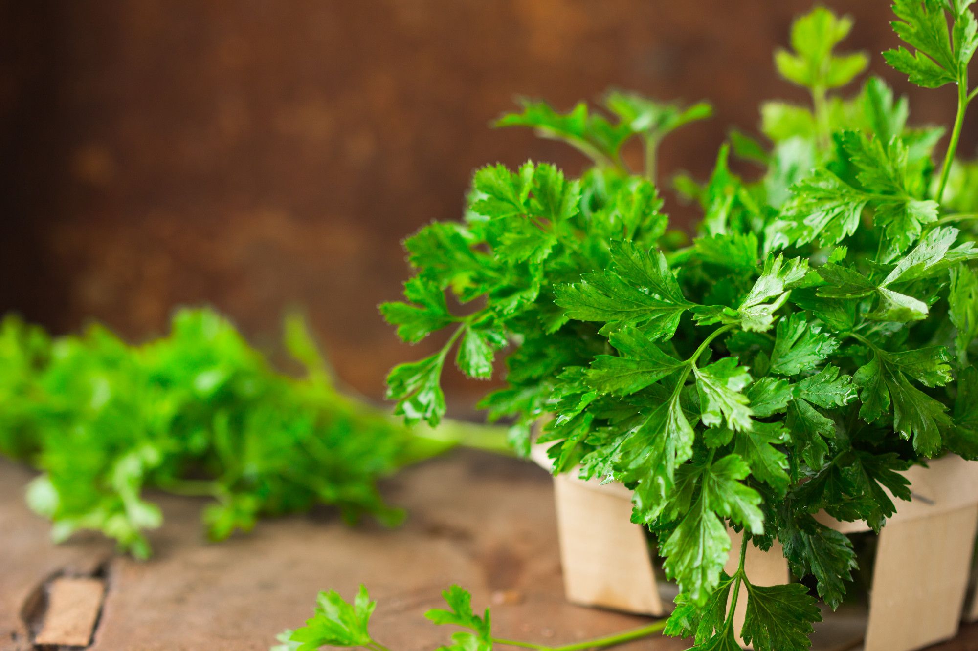 benefits from parsley